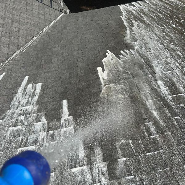 roof washing